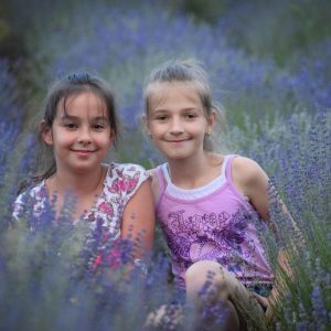 lavenderland_00