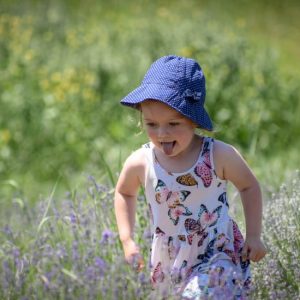 lavenderland_02